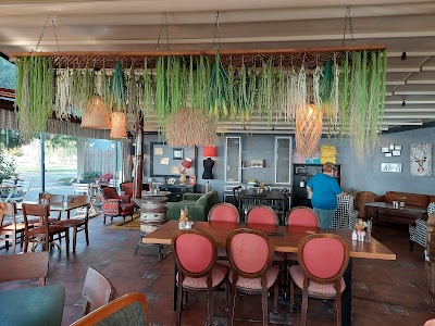 Monica Kitchen - Restoran