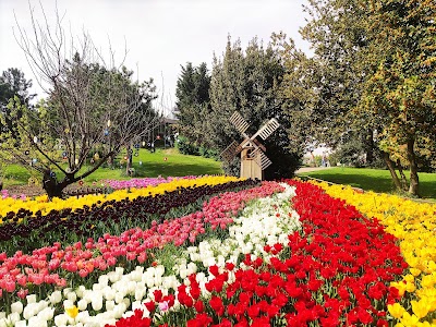 Nezahat Gökyiğit Botanik Bahçesi, Ümraniye Girişi - Kafe
