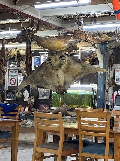 Balıkçı Kenan - Restoran