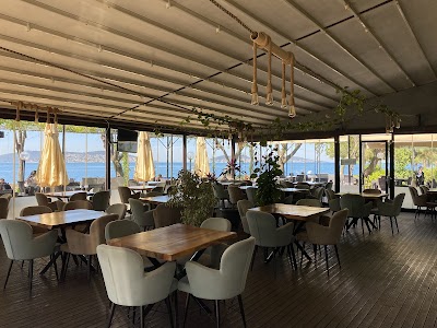 Palmiye Cafe - Kafe